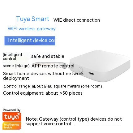 Graffiti Smart Zigbee86 Box Wall Wireless Wired Gateway